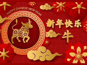 COLORFLY Chinese New Year arrangement 2021